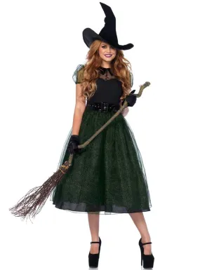 Darling Spellcaster Deluxe Womens Witch Costume