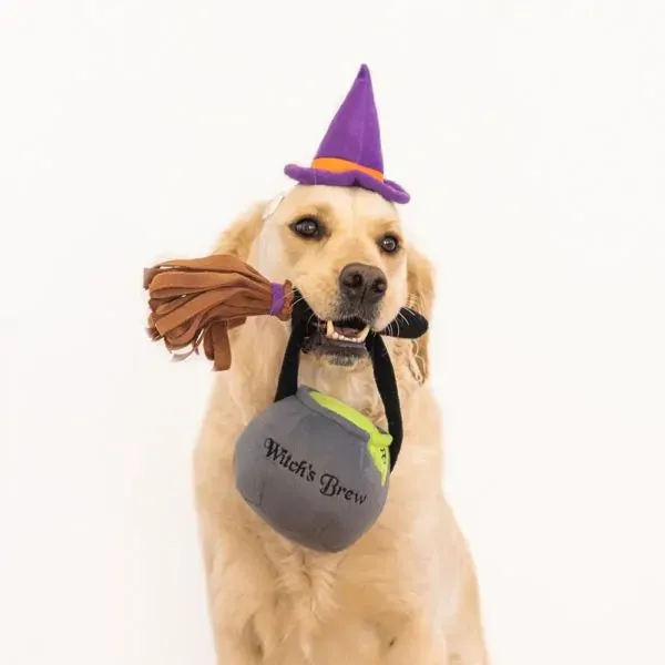 Halloween Dog Costume Kit & Toy - Witch