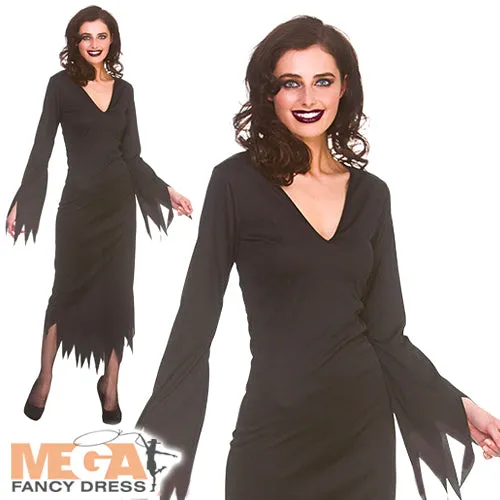 Ladies Gothic Witch Halloween Fancy Dress Costume