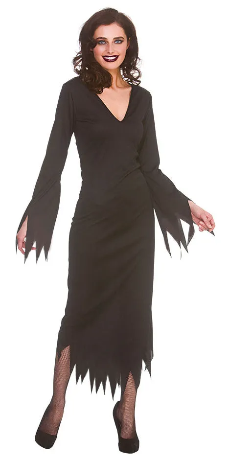 Ladies Gothic Witch Halloween Fancy Dress Costume