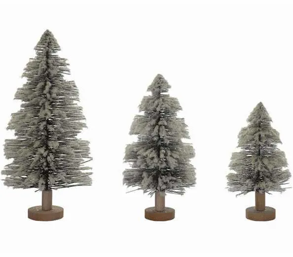 Snowy Pine Trees